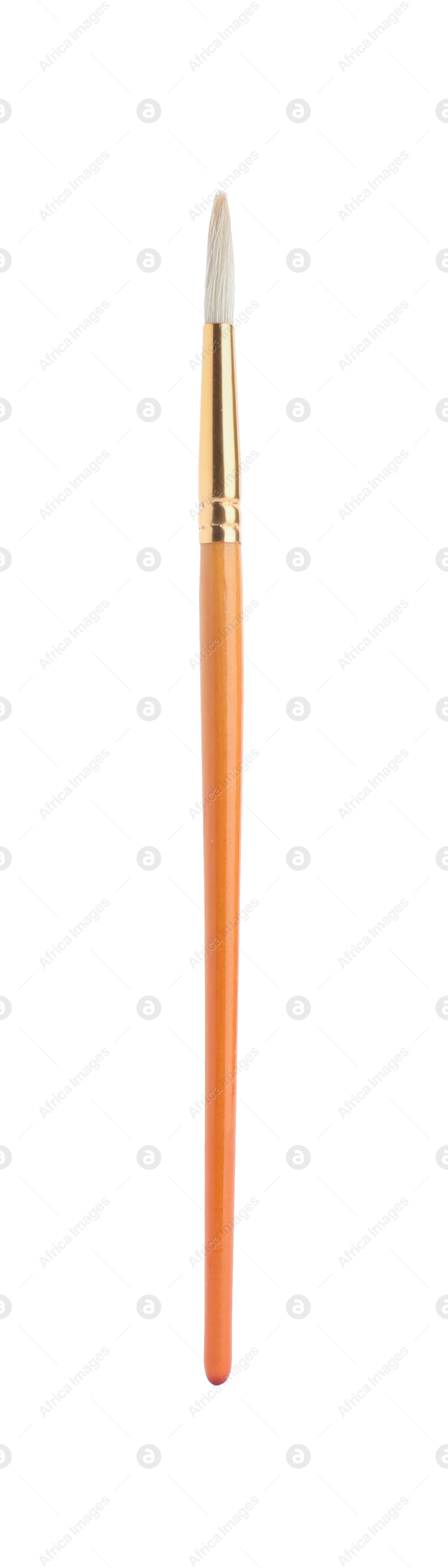 Photo of Paint brush with wooden handle isolated on white