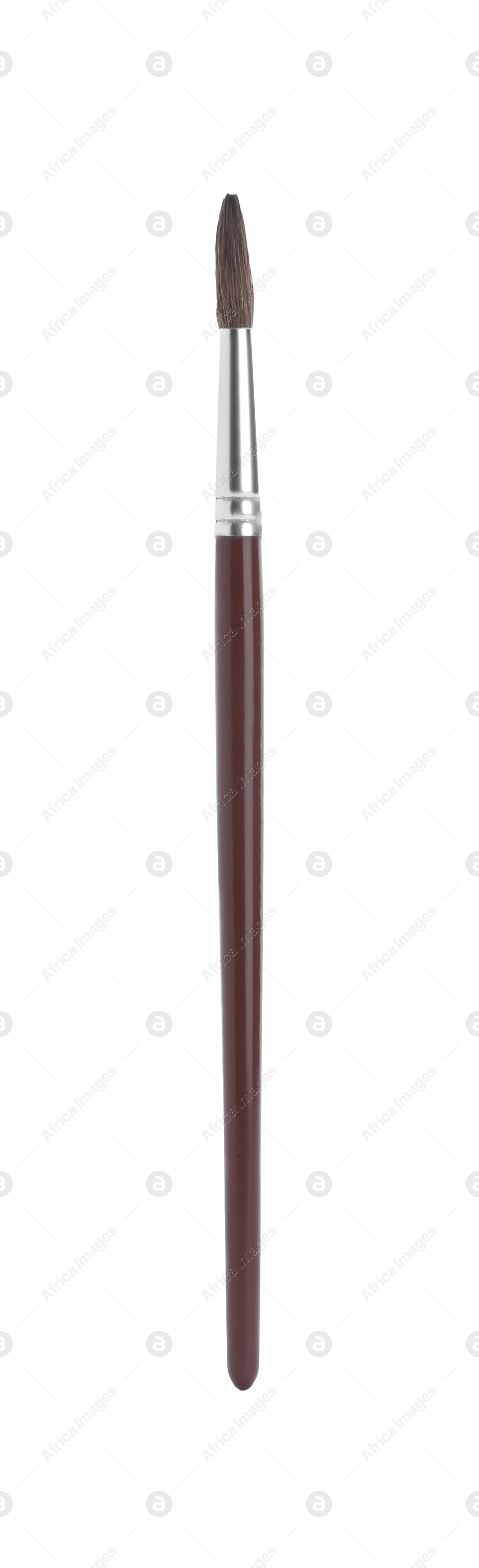 Photo of Paint brush with wooden handle isolated on white