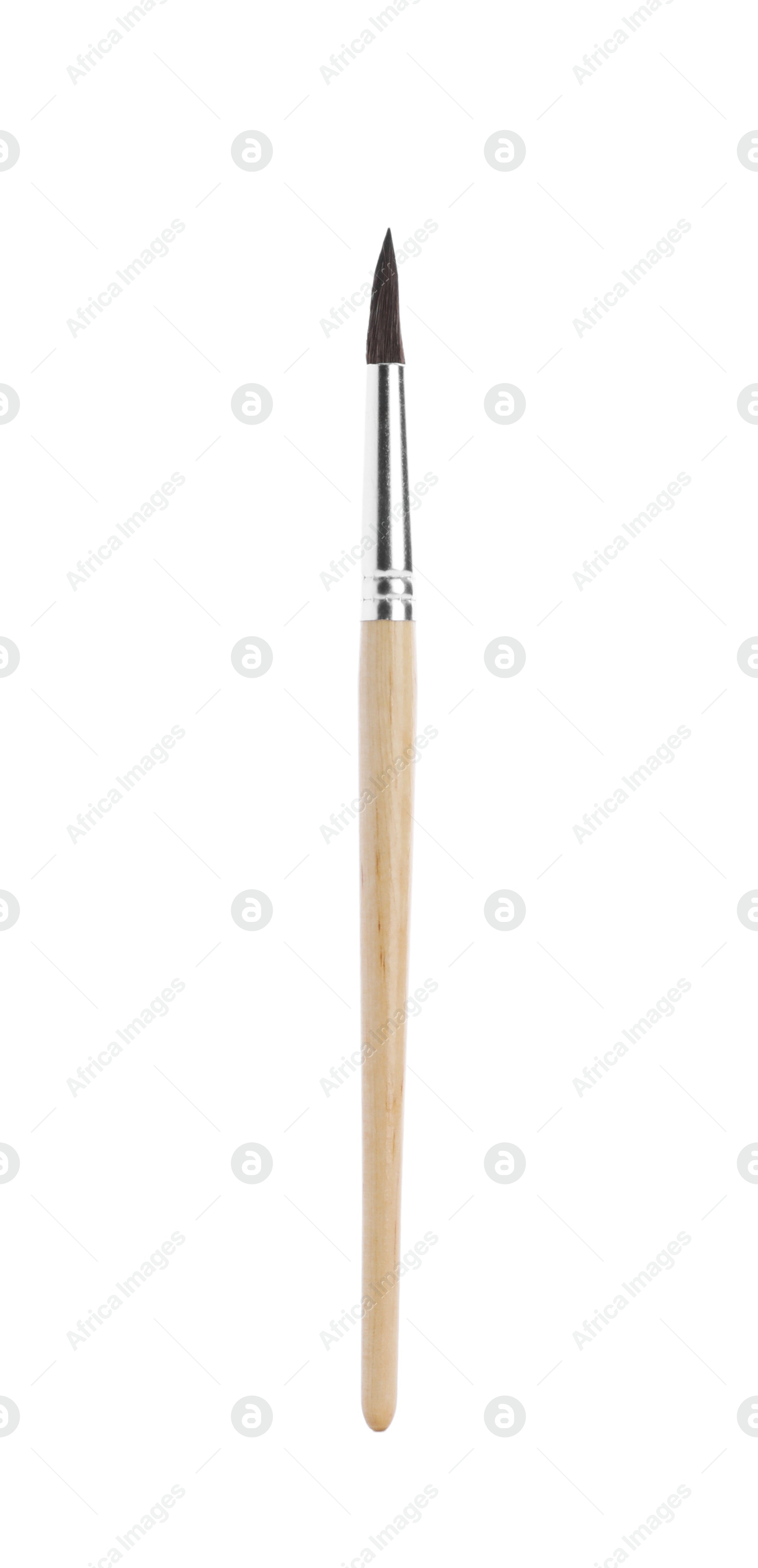 Photo of Paint brush with wooden handle isolated on white