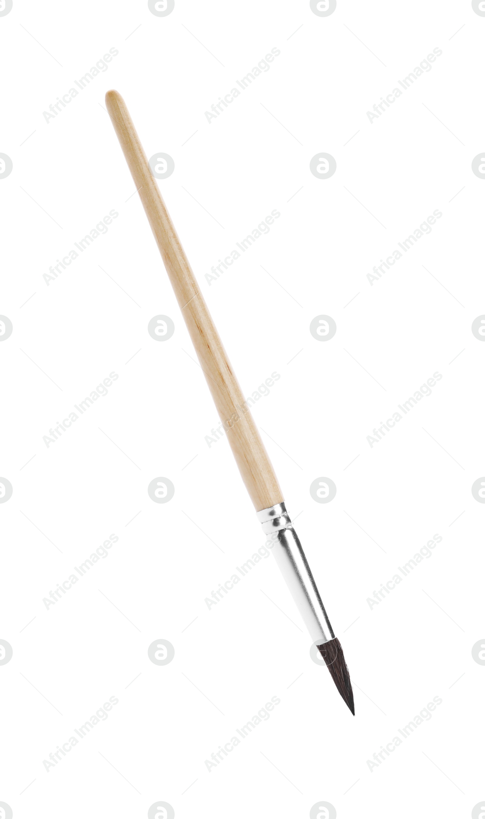 Photo of Paint brush with wooden handle isolated on white