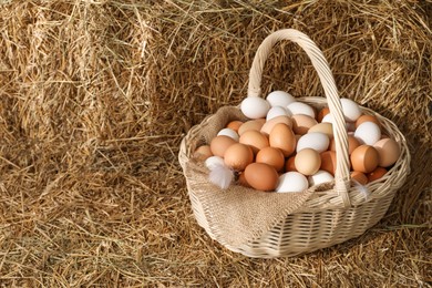 Photo of Fresh chicken eggs in wicker basket on dried straw bale. Space for text