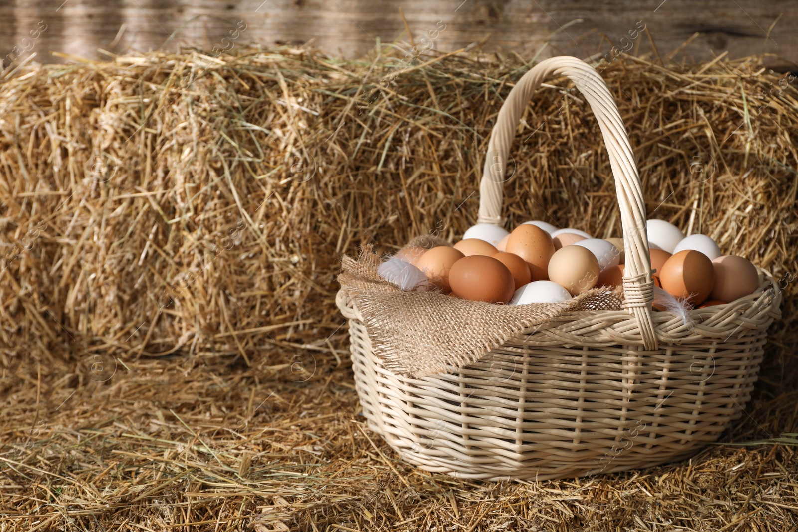 Photo of Fresh chicken eggs in wicker basket on dried straw bale. Space for text