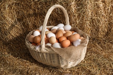 Photo of Fresh chicken eggs in wicker basket on dried straw bale