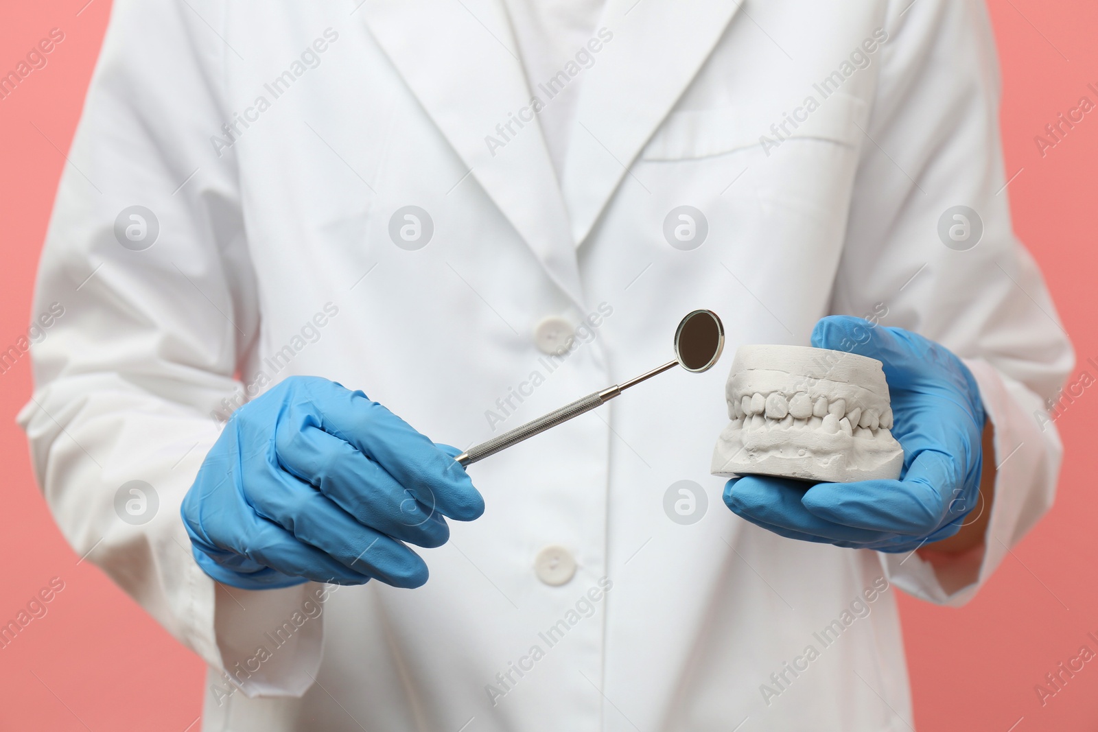 Photo of Doctor holding dental model with jaws and tool on pink background, closeup. Cast of teeth