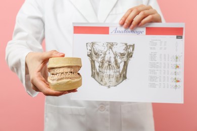 Doctor holding dental model with jaws and visualization of human maxillofacial section for dental analysis printed on paper against pink background, selective focus. Cast of teeth