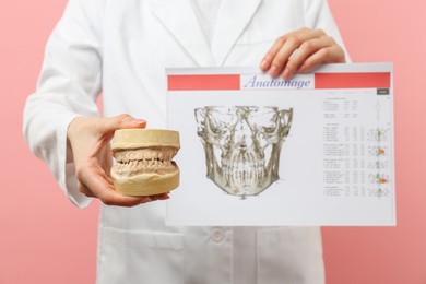 Photo of Doctor holding dental model with jaws and visualization of human maxillofacial section for dental analysis printed on paper against pink background, selective focus. Cast of teeth