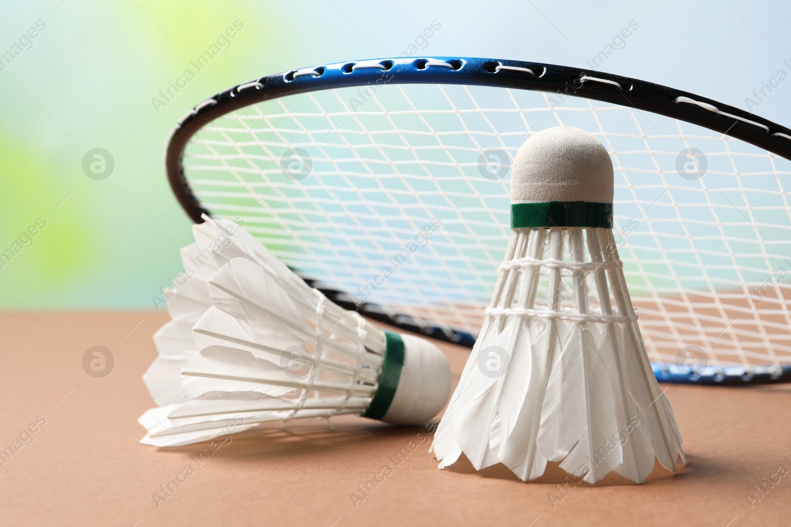 Photo of Feather badminton shuttlecocks and racket on court, closeup