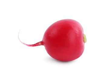 Photo of One fresh ripe radish isolated on white