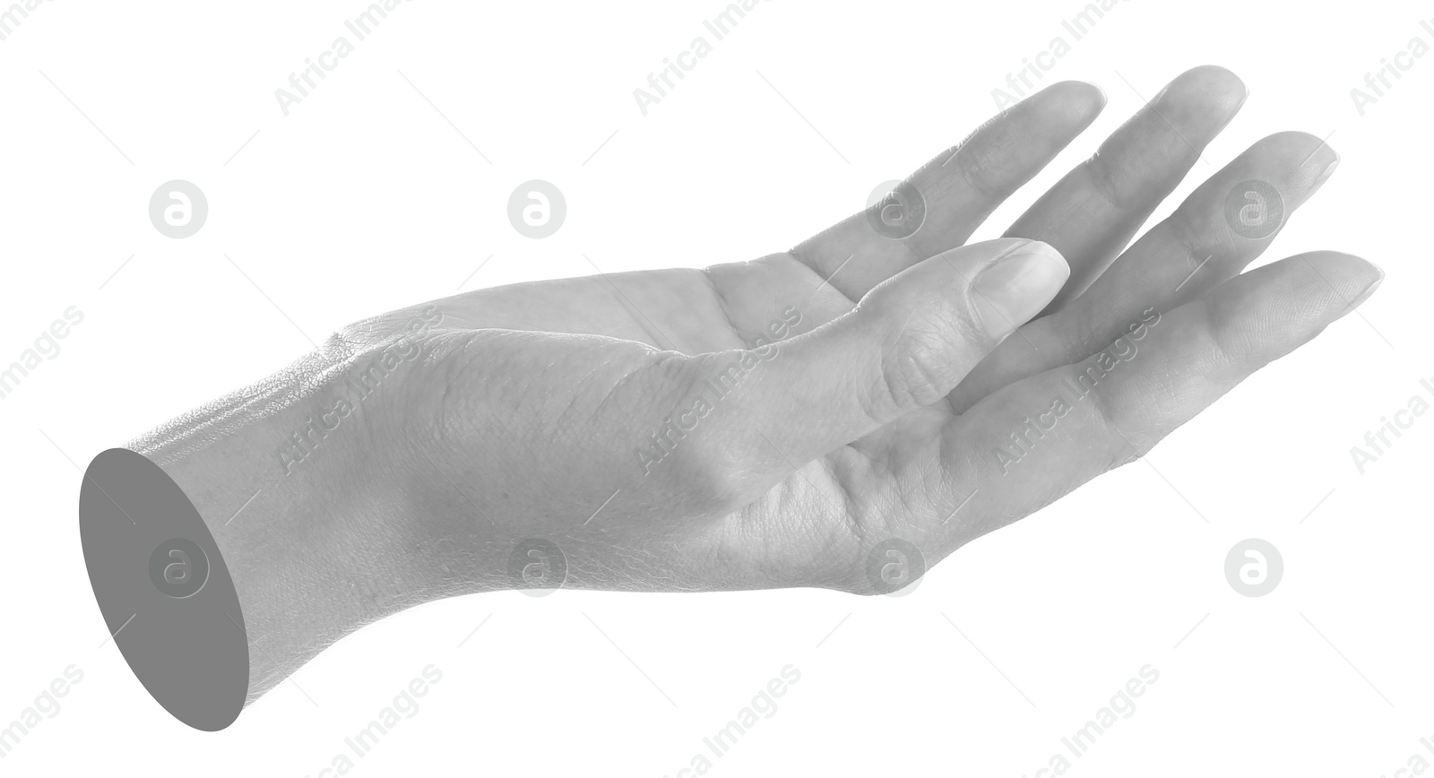 Image of Woman's hand holding something on white background. Black and white effect