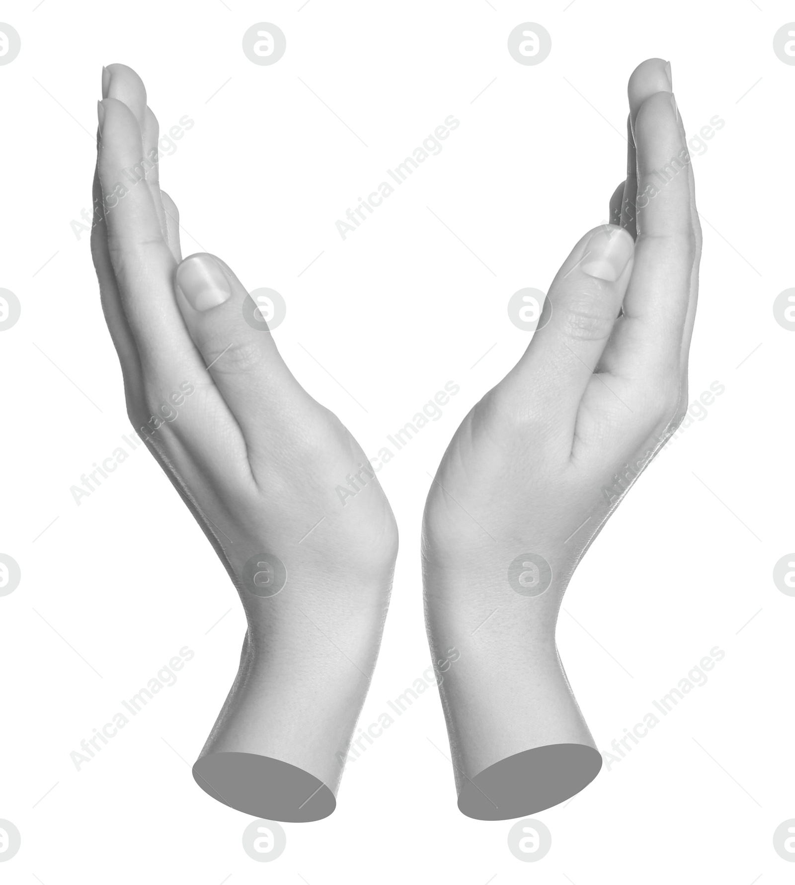 Image of Woman's hands holding something on white background. Black and white effect