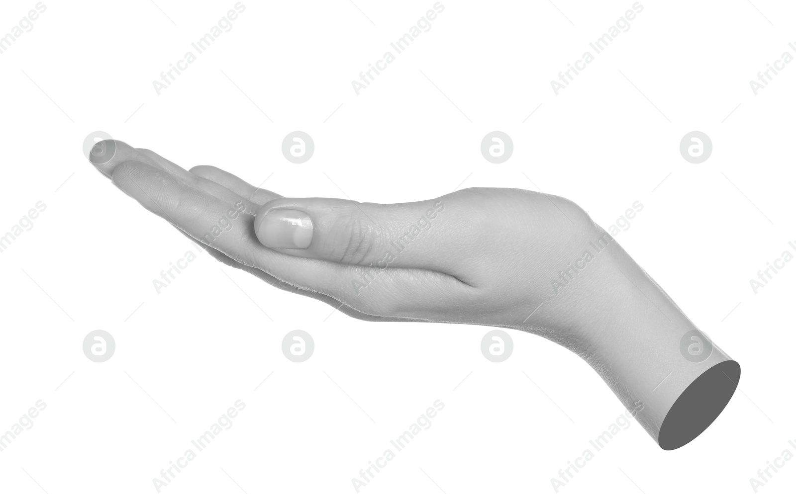 Image of Woman's hand holding something on white background. Black and white effect