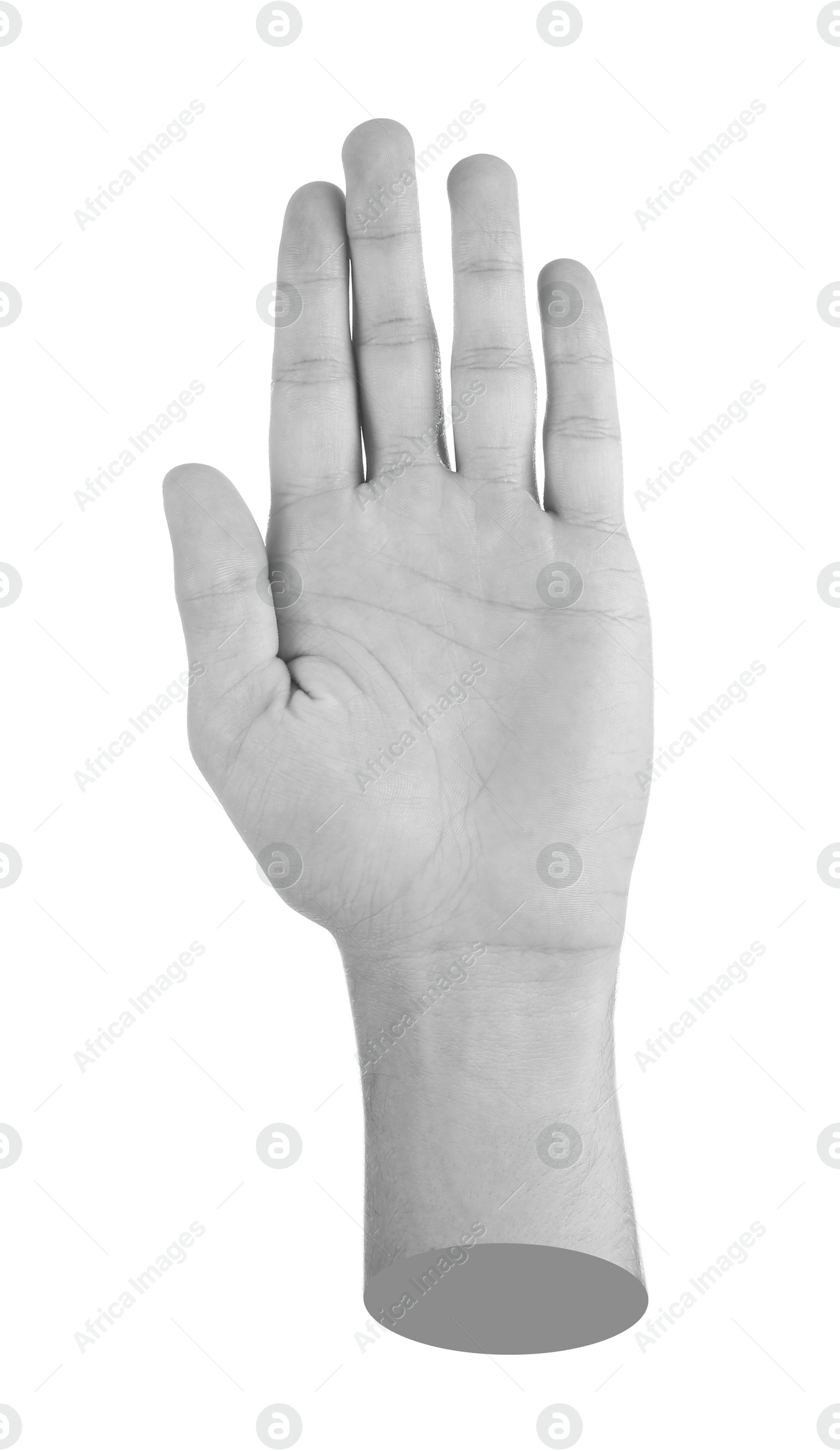 Image of Man's hand on white background. Black and white effect