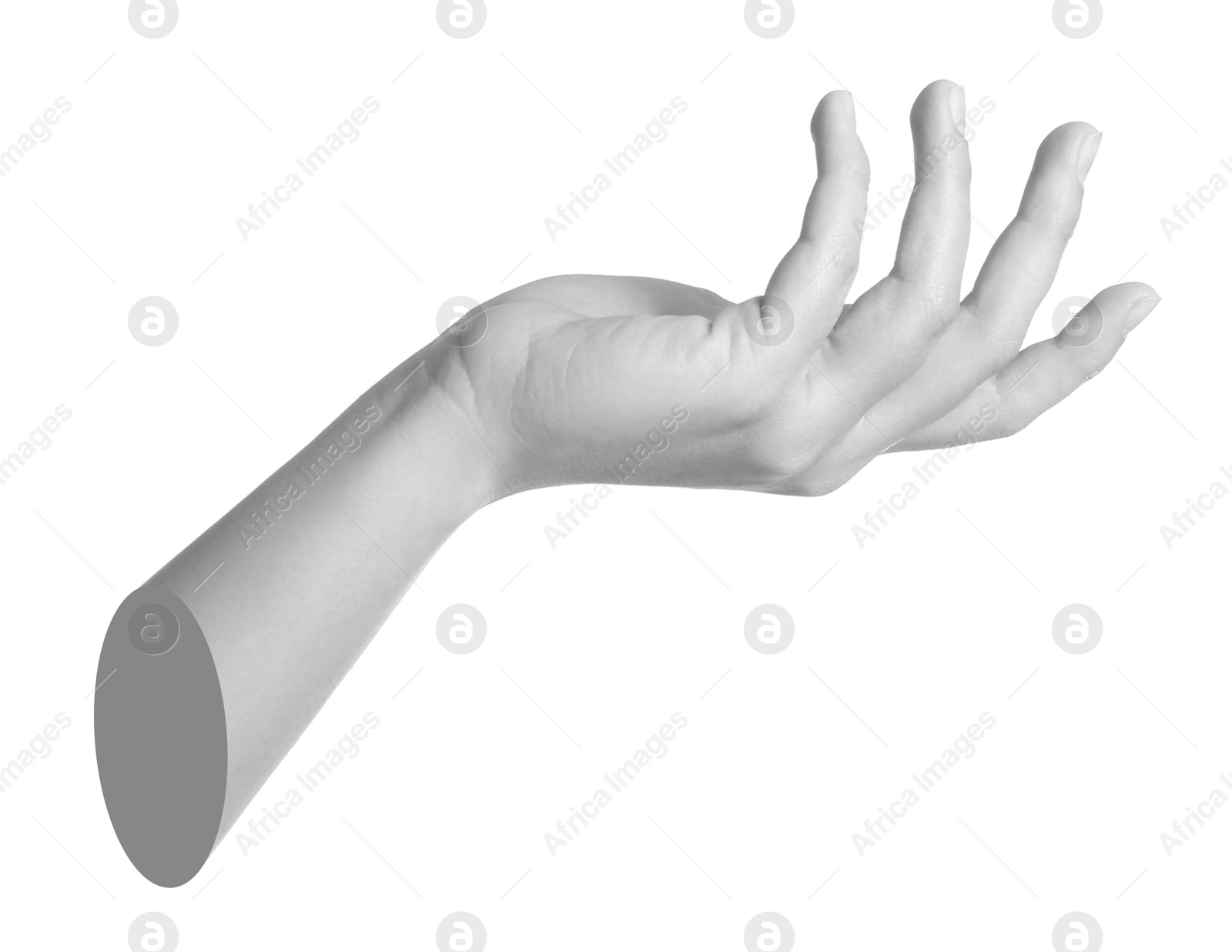 Image of Woman's hand holding something on white background. Black and white effect