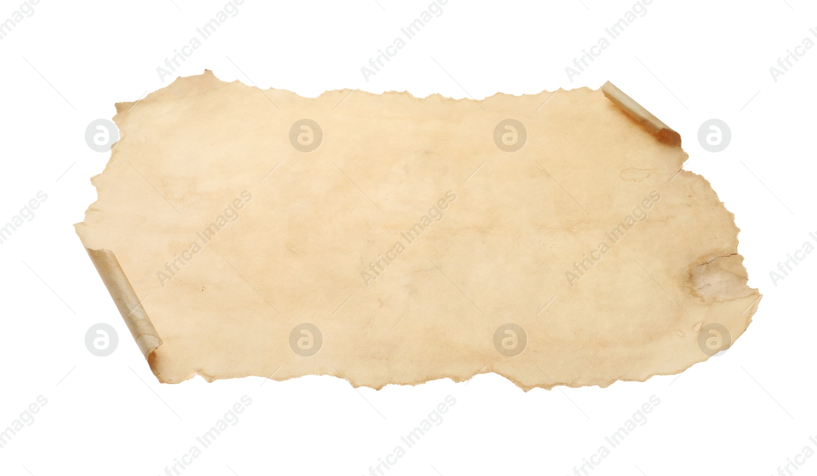 Photo of Sheet of old parchment paper isolated on white