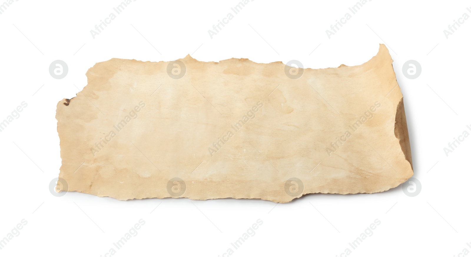 Photo of Sheet of old parchment paper isolated on white