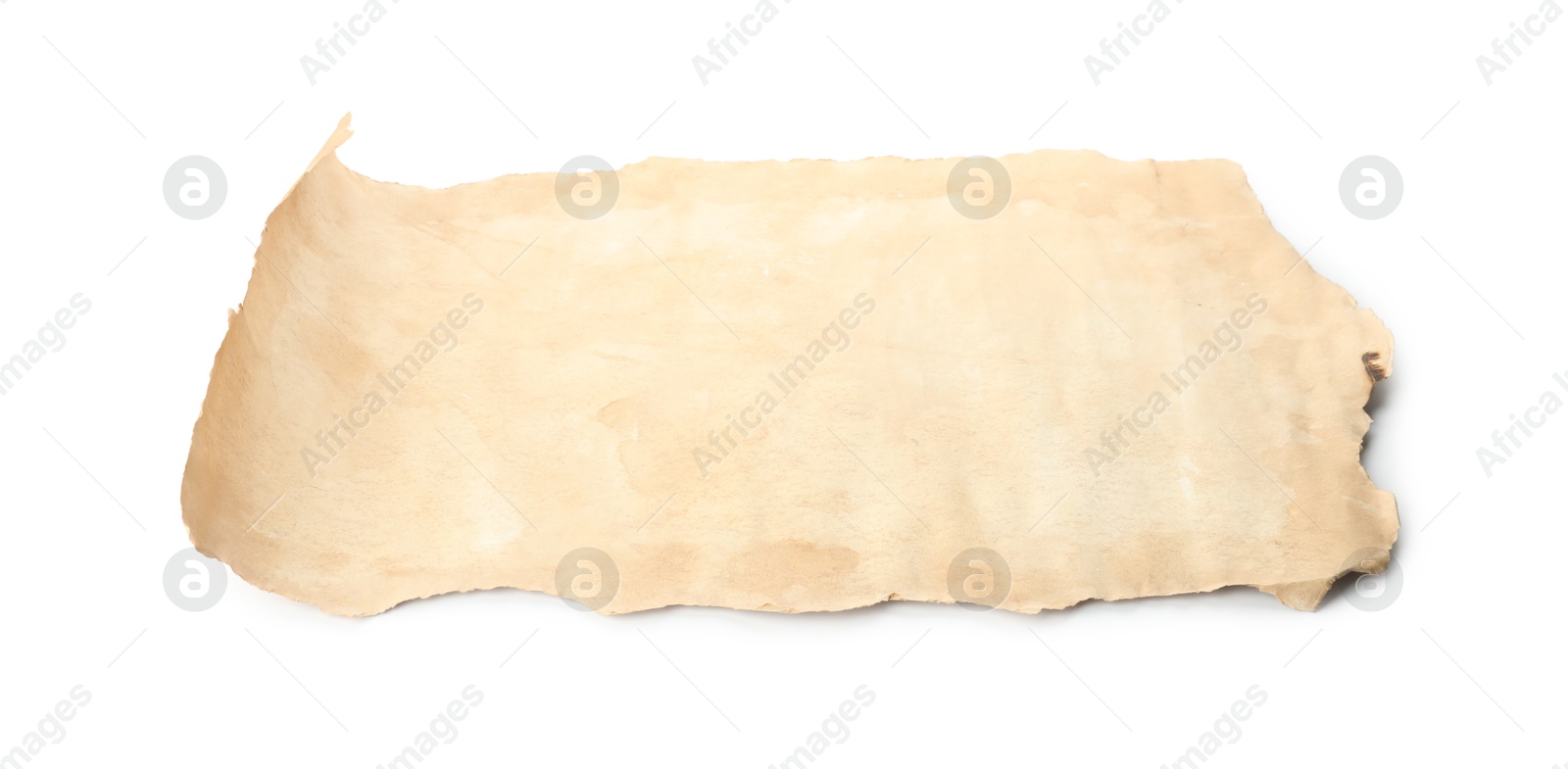 Photo of Sheet of old parchment paper isolated on white