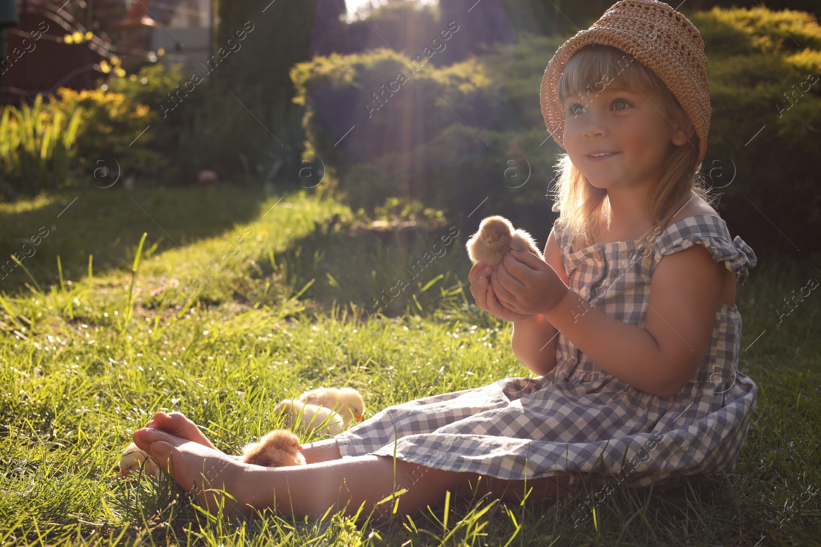 Photo of Little girl with cute chicks on green grass outdoors. Baby animals