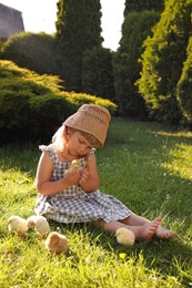 Little girl with cute chicks on green grass outdoors. Baby animals
