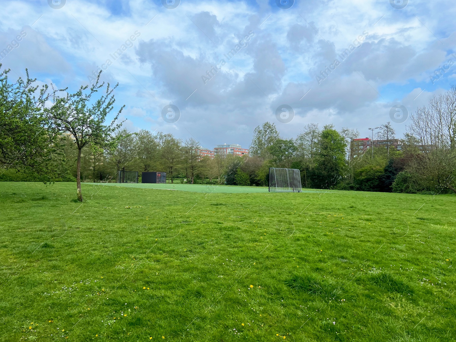 Photo of Beautiful view of park with green grass on sunny day