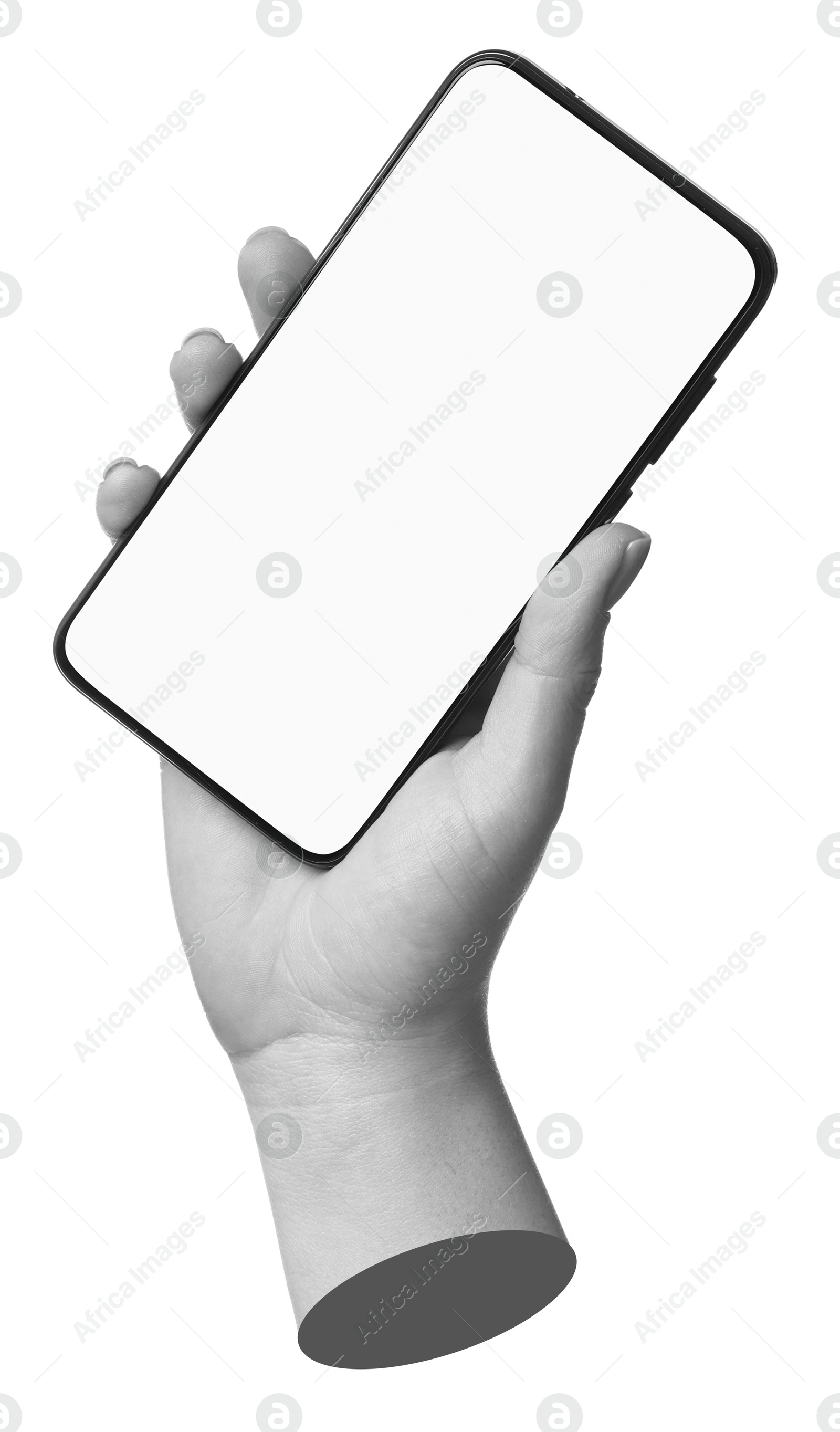 Image of Woman's hand holding mobile phone with empty screen isolated on white. Black and white effect