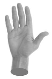 Image of Man's hand on white background. Black and white effect