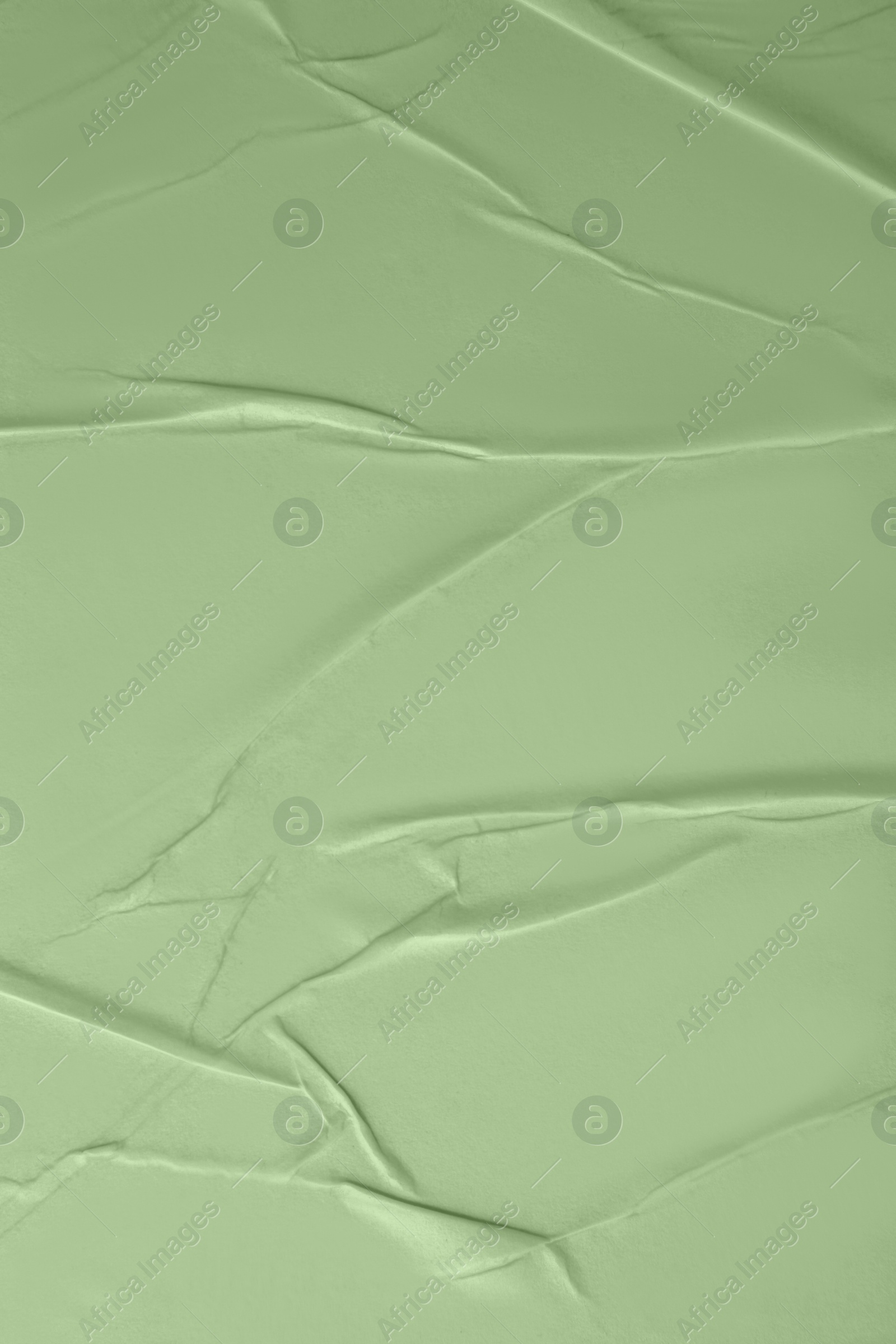 Image of Creased sage green paper as background, closeup