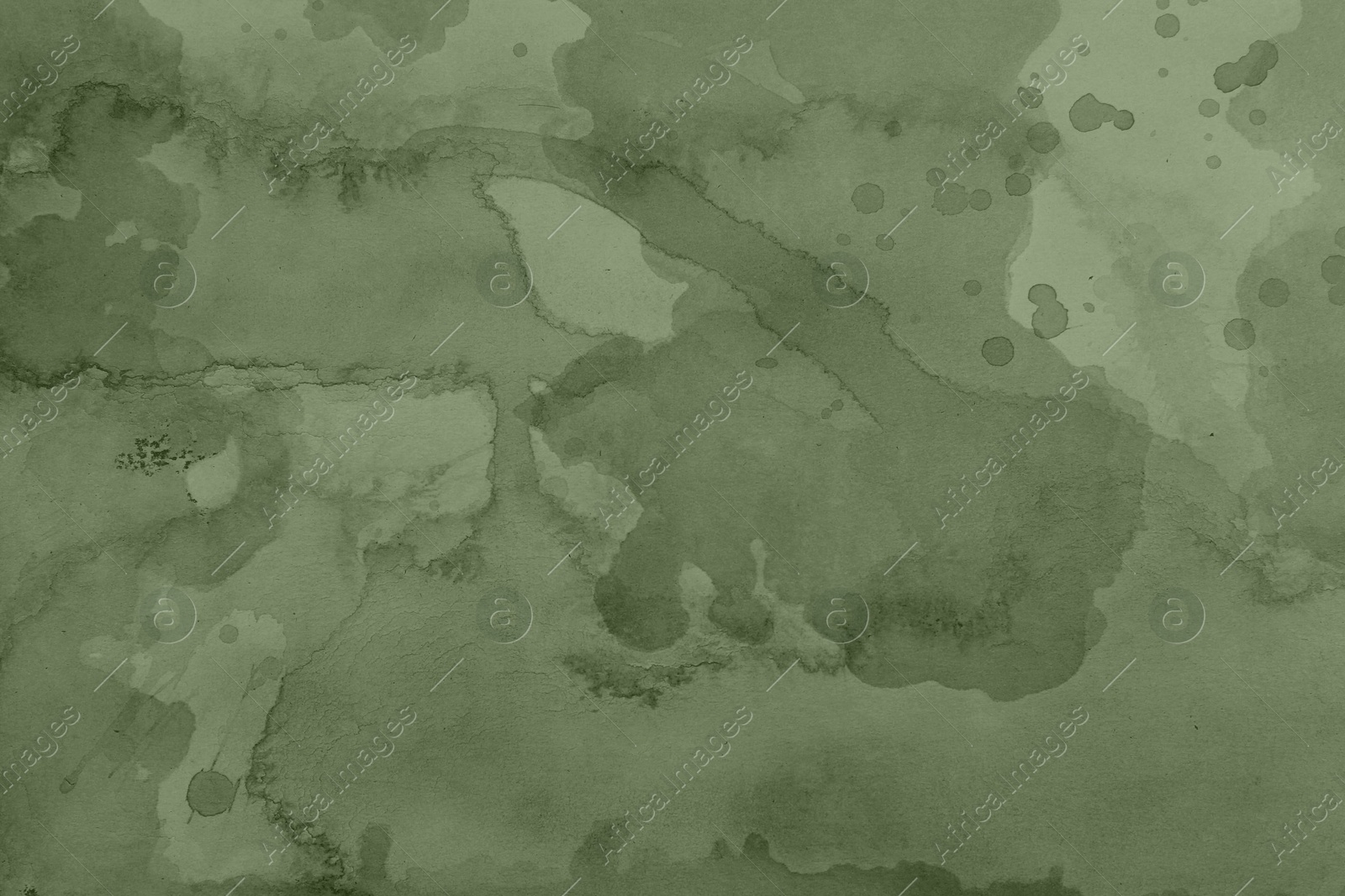 Image of Sage green textured surface as background, closeup