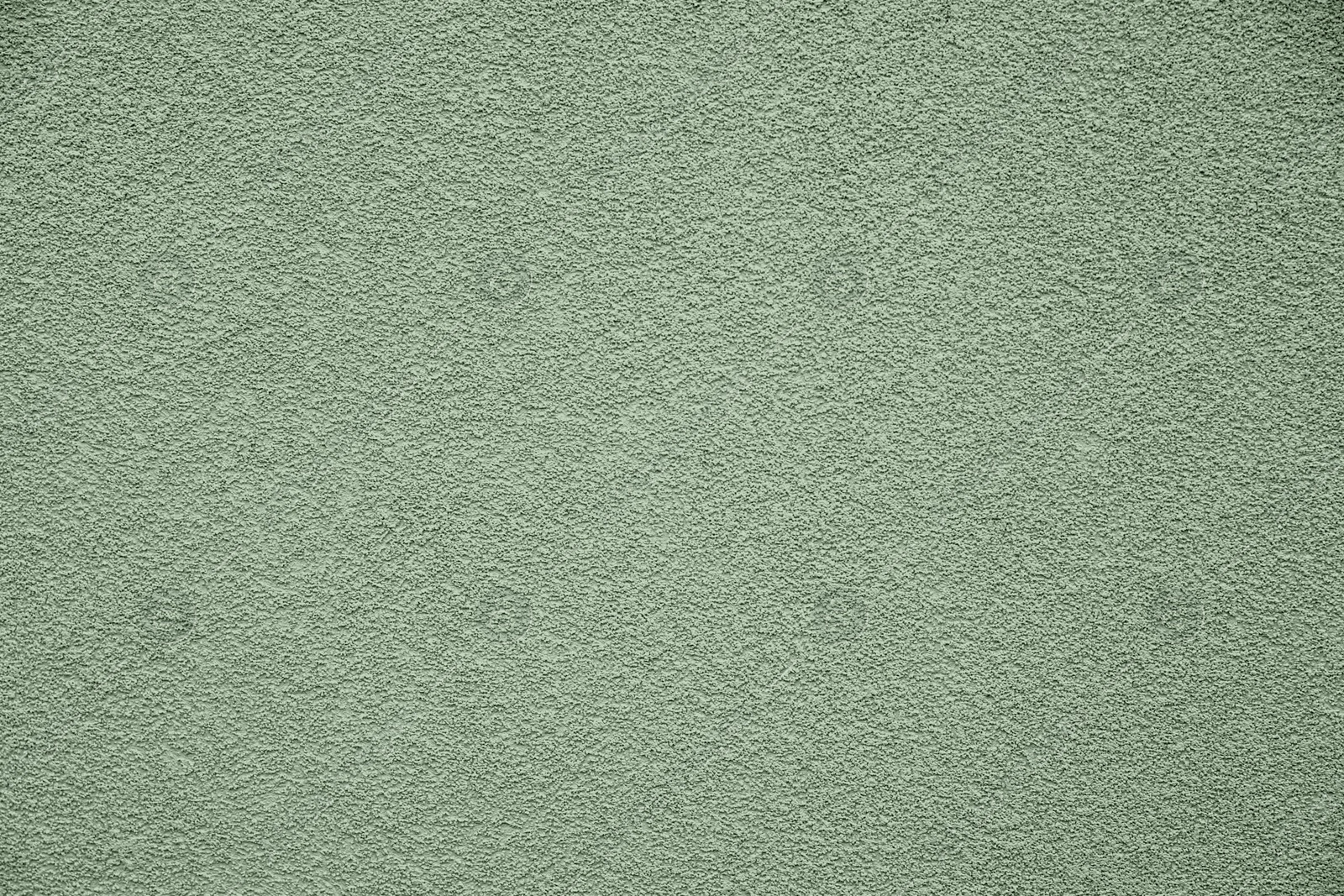 Image of Sage green textured surface as background, closeup