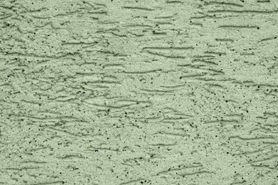 Sage green textured surface as background, closeup