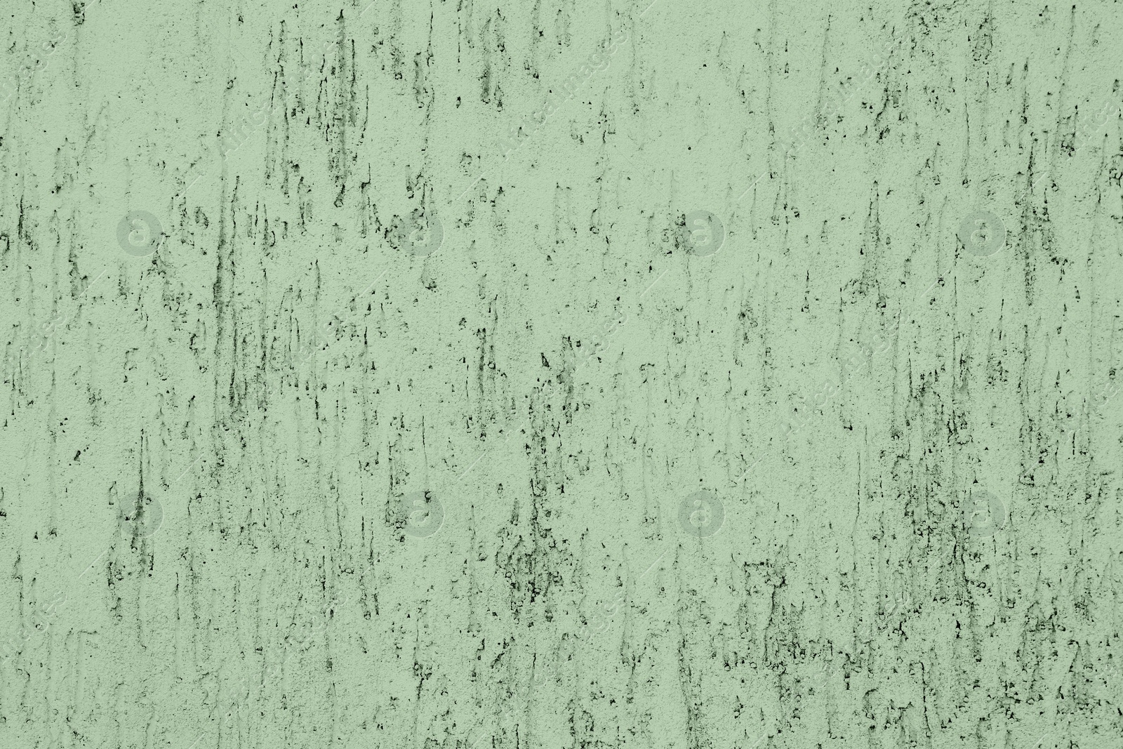 Image of Sage green textured surface as background, closeup