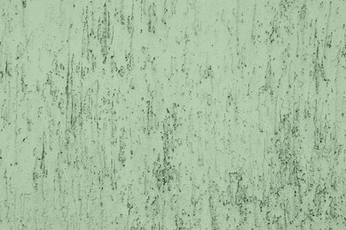 Image of Sage green textured surface as background, closeup