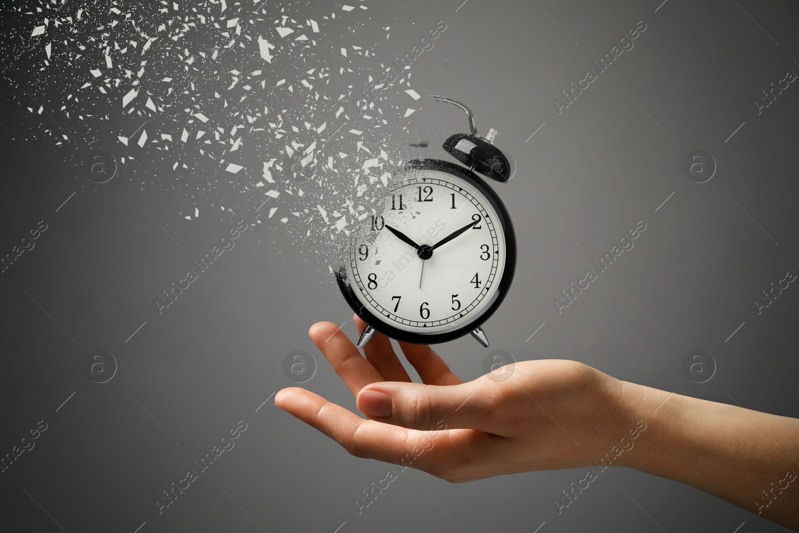 Image of Time running out. Woman with dissolving alarm clock on grey background, closeup