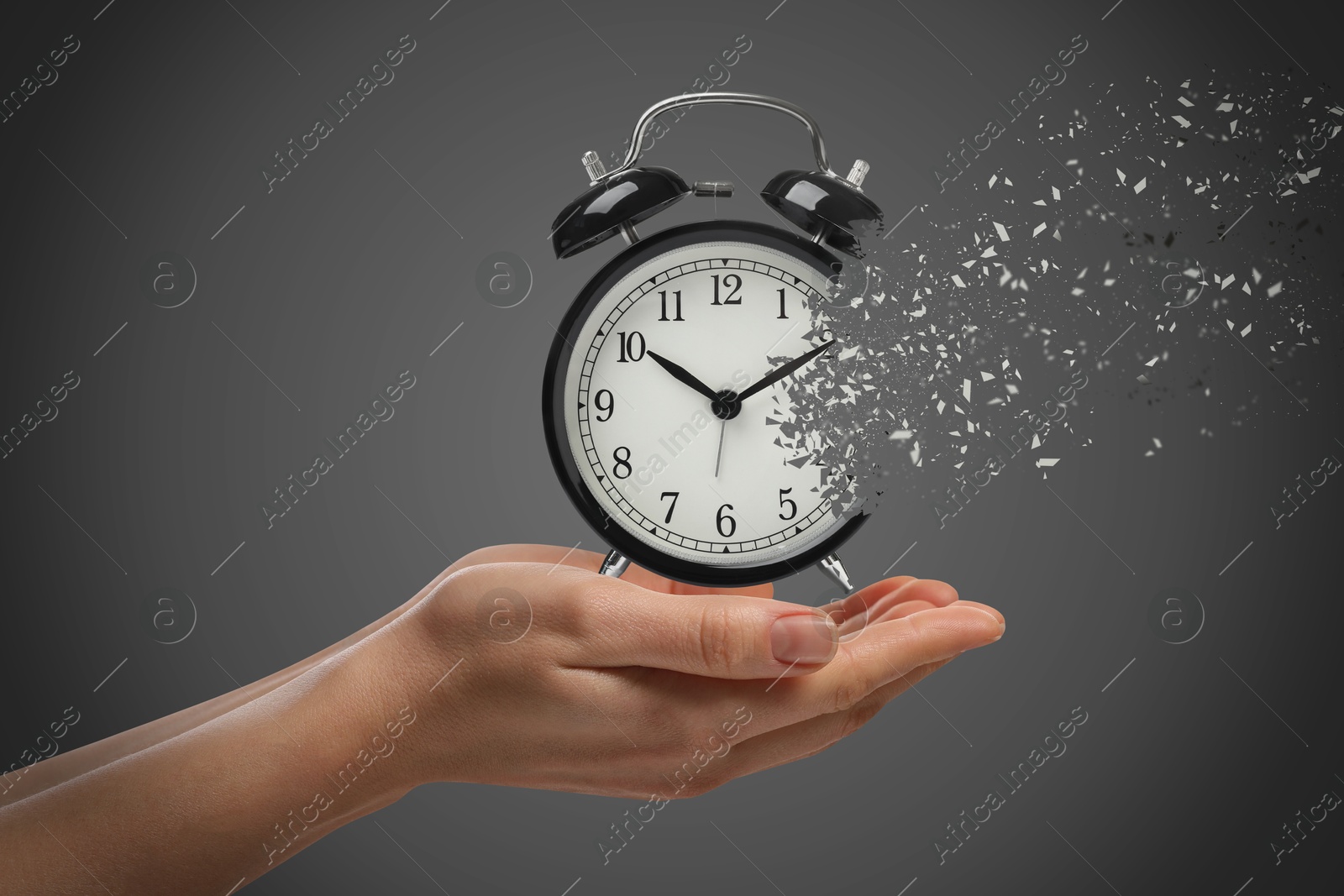 Image of Time running out. Woman with dissolving alarm clock on grey background, closeup