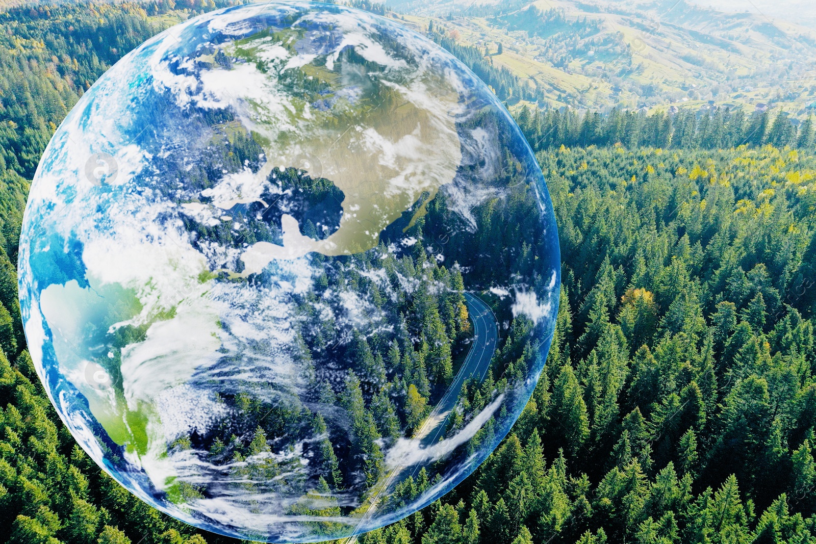 Image of Save the planet. Aerial view of coniferous forest and planet Earth, double exposure