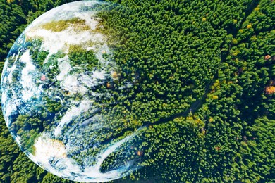 Image of Save the planet. Aerial view of coniferous forest and planet Earth, double exposure