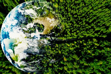 Image of Save the planet. Aerial view of coniferous forest and planet Earth, double exposure