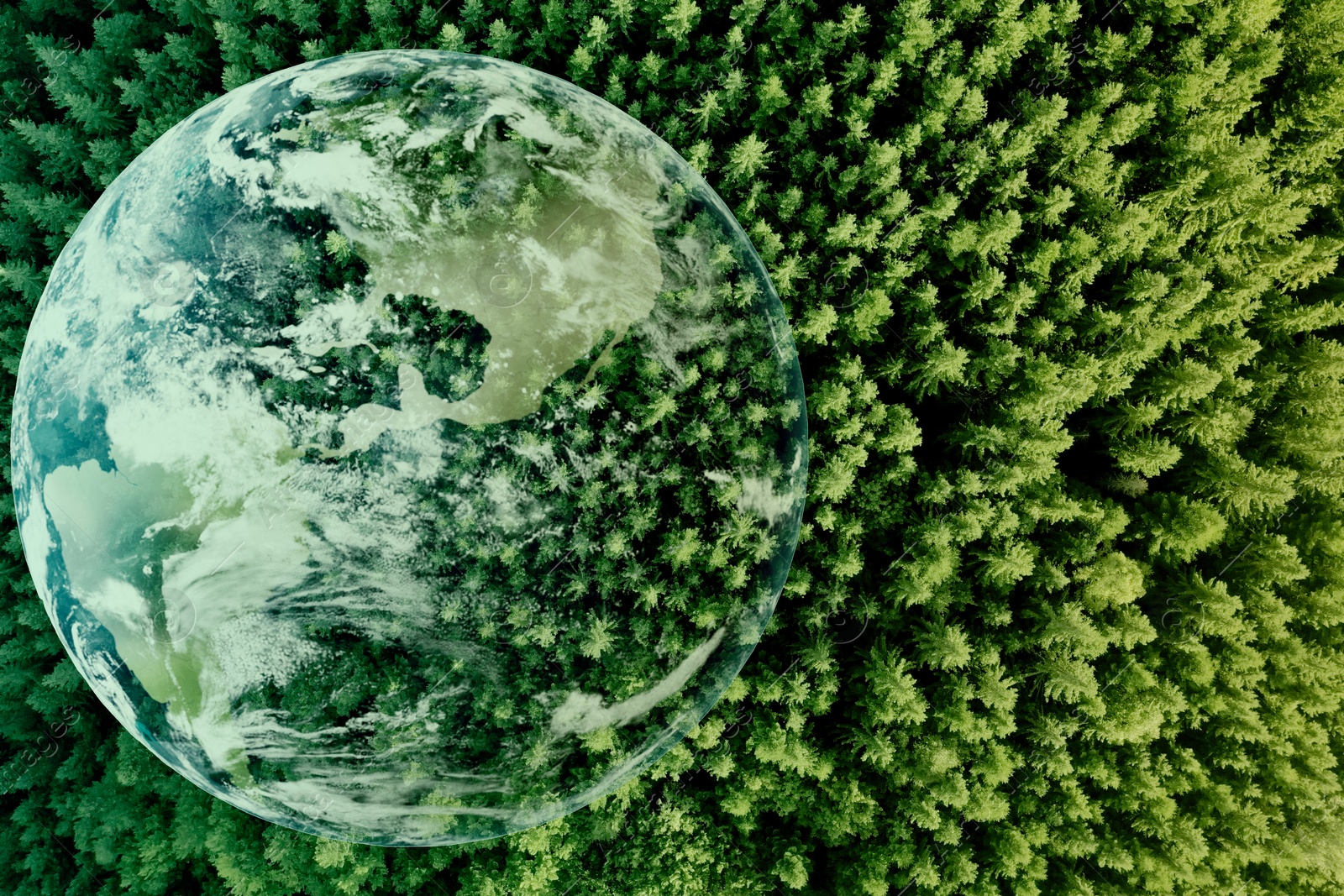 Image of Save the planet. Aerial view of coniferous forest and planet Earth, double exposure