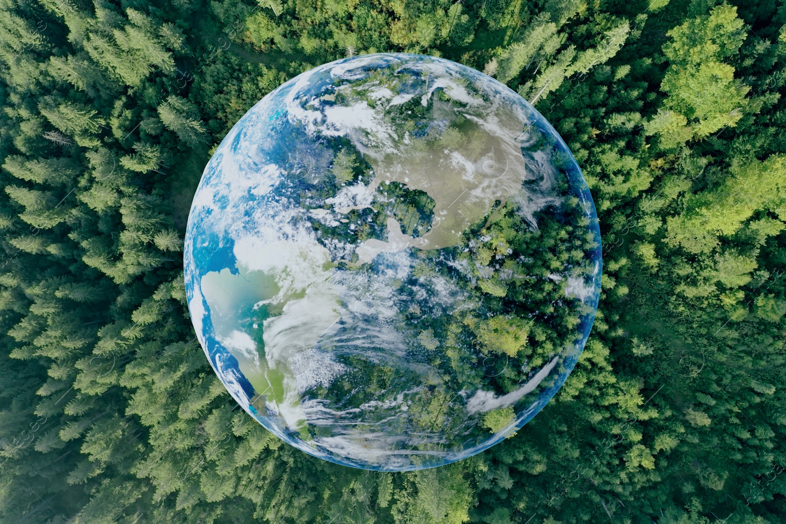 Image of Save the planet. Aerial view of coniferous forest and planet Earth, double exposure