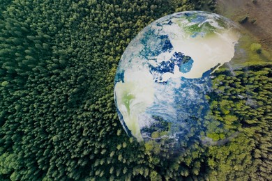 Image of Save the planet. Aerial view of coniferous forest and planet Earth, double exposure