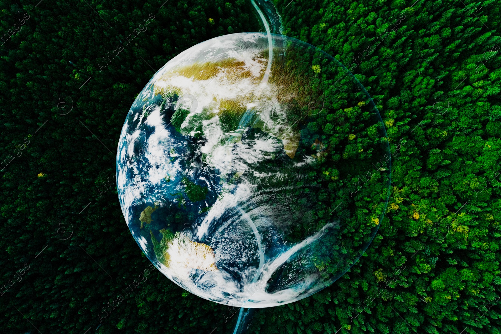 Image of Save the planet. Aerial view of coniferous forest and planet Earth, double exposure