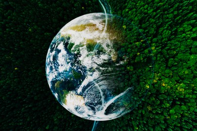 Image of Save the planet. Aerial view of coniferous forest and planet Earth, double exposure