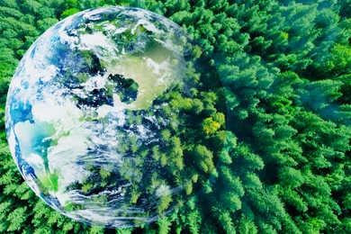 Image of Save the planet. Aerial view of coniferous forest and planet Earth, double exposure