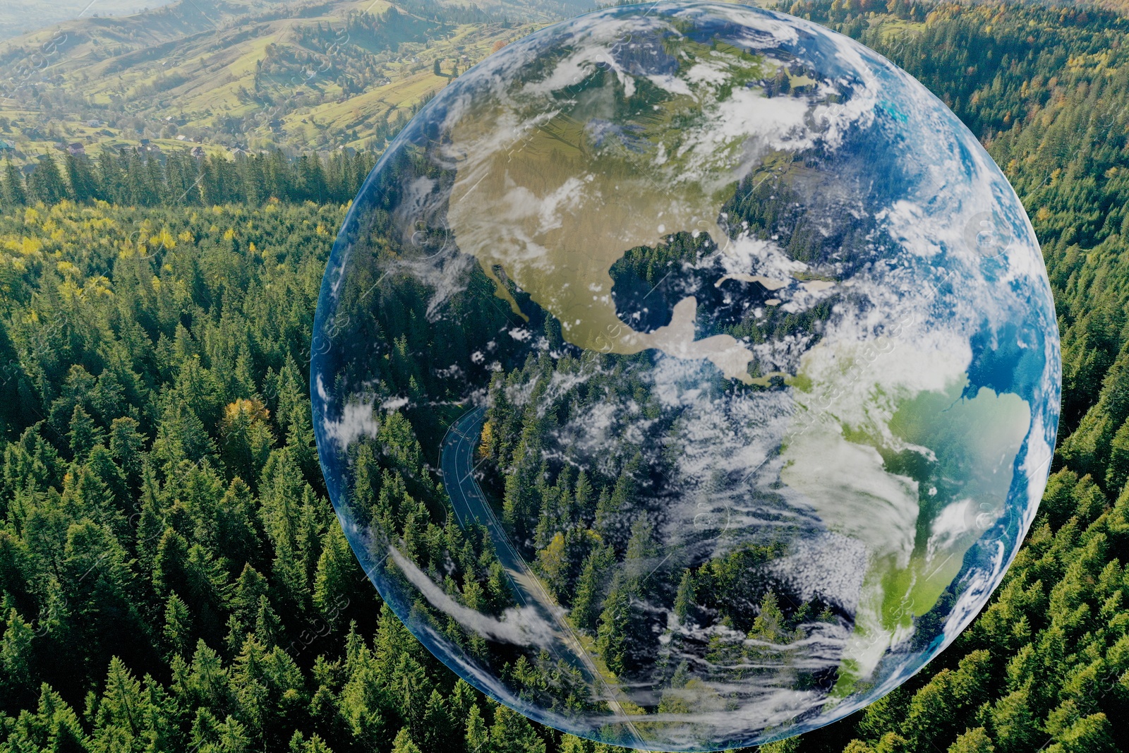 Image of Save the planet. Aerial view of coniferous forest and planet Earth, double exposure