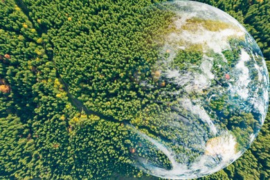 Image of Save the planet. Aerial view of coniferous forest and planet Earth, double exposure