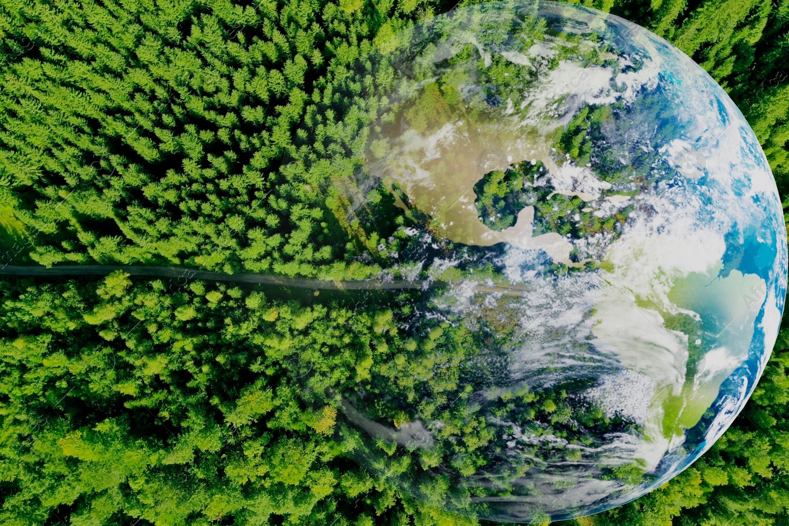 Image of Save the planet. Aerial view of coniferous forest and planet Earth, double exposure