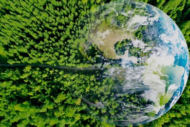 Image of Save the planet. Aerial view of coniferous forest and planet Earth, double exposure