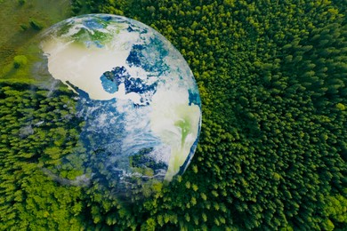 Image of Save the planet. Aerial view of coniferous forest and planet Earth, double exposure