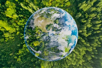 Image of Save the planet. Aerial view of coniferous forest and planet Earth, double exposure