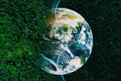 Image of Save the planet. Aerial view of coniferous forest and planet Earth, double exposure