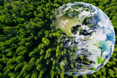 Image of Save the planet. Aerial view of coniferous forest and planet Earth, double exposure